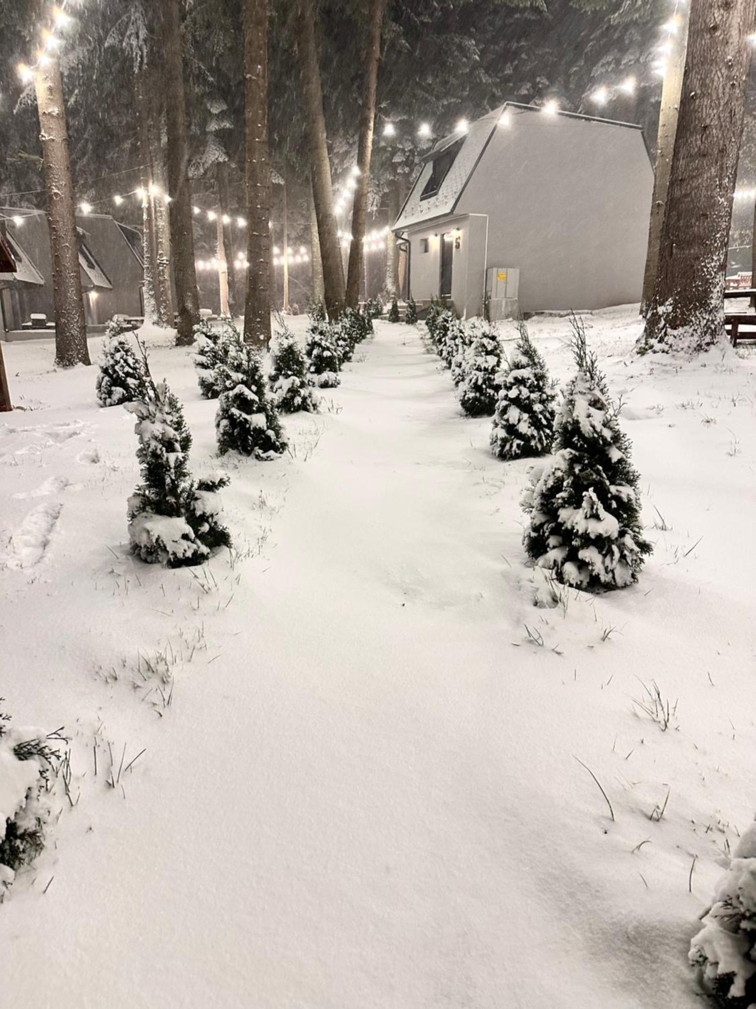 Boro Green Holiday Village Borovets Buitenkant foto