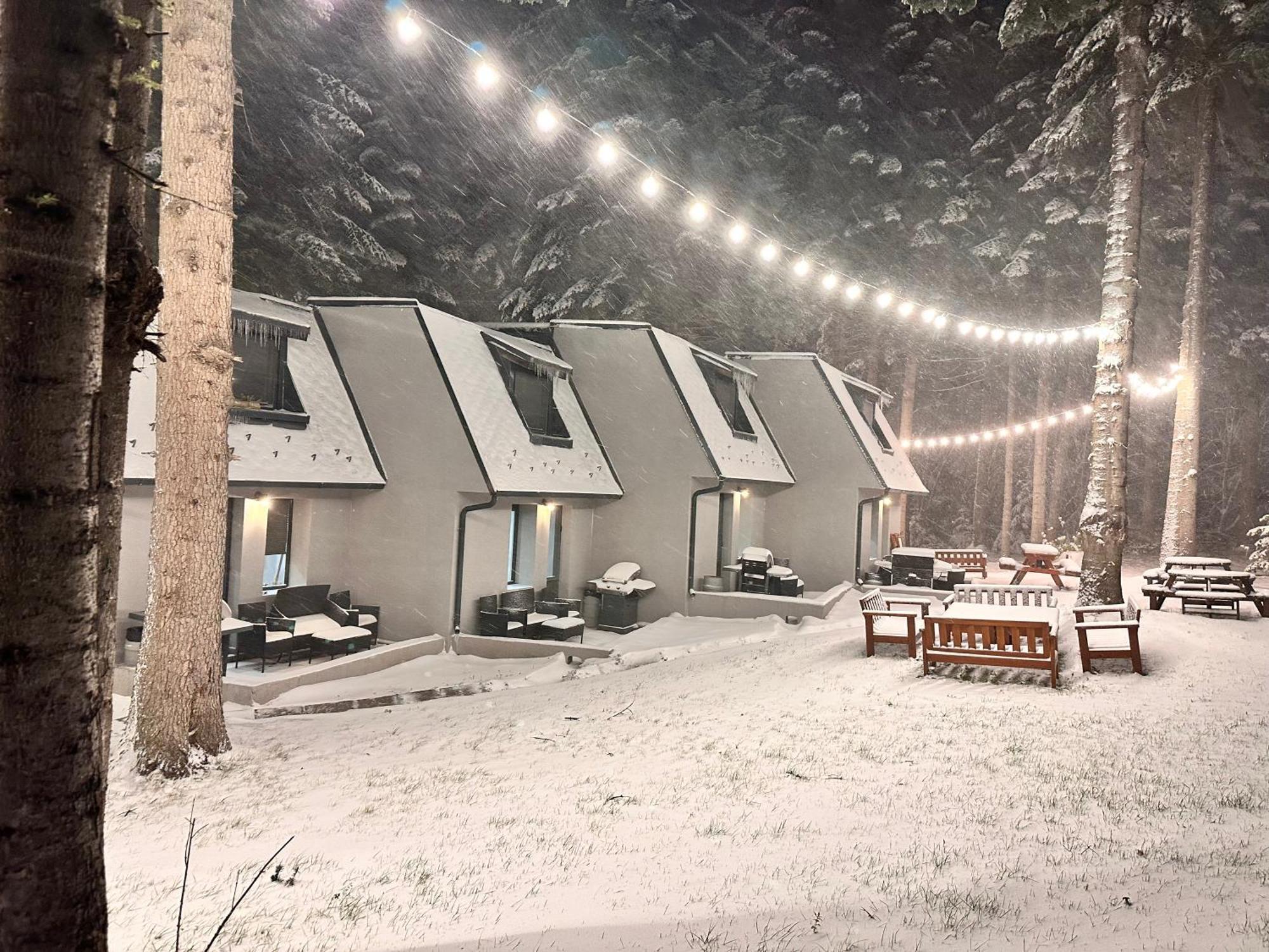 Boro Green Holiday Village Borovets Buitenkant foto