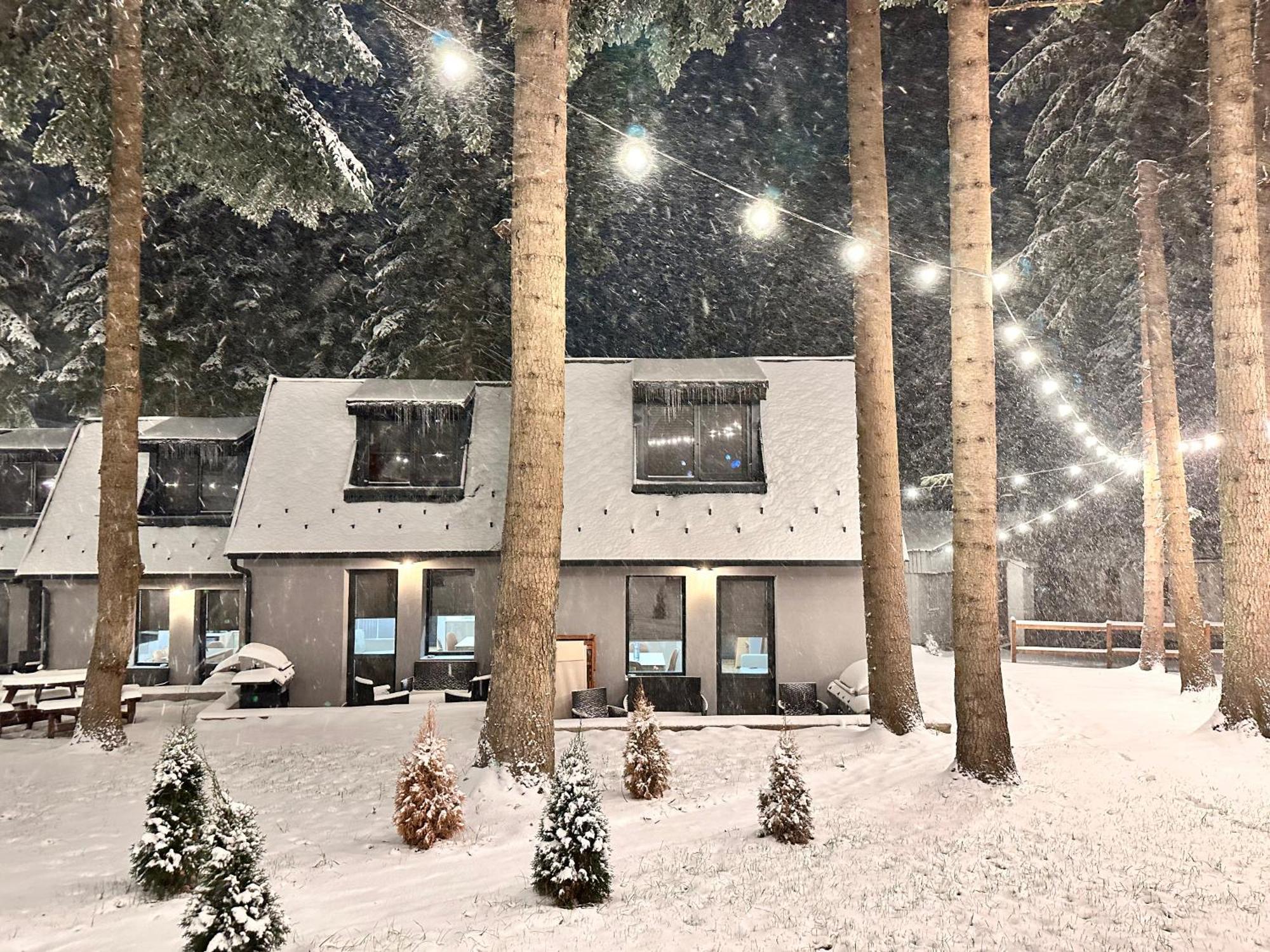 Boro Green Holiday Village Borovets Buitenkant foto
