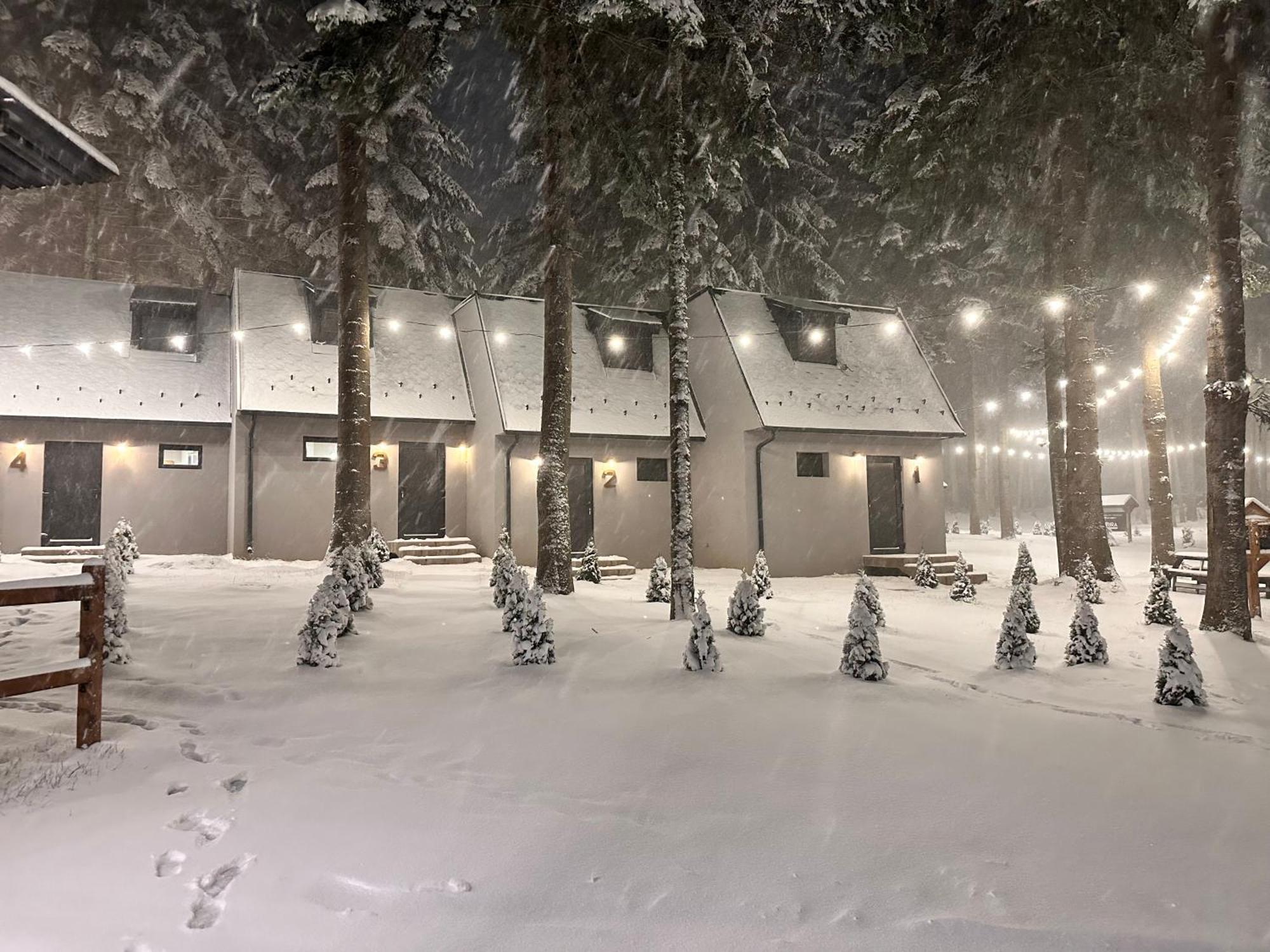 Boro Green Holiday Village Borovets Buitenkant foto
